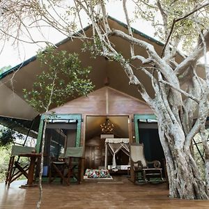 Luxury Eagle Tent Private Pool on Wildlife Safaris