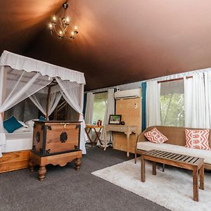 Sloth Bear Tent Private Pool on Wildlife Safaris