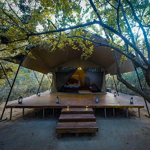 Leopard Tent Private Pool on Wildlife Safaris